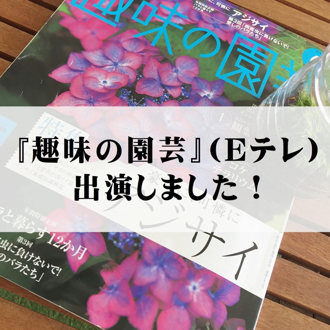 おしゃれにグリーン苔テラリウム 趣味の園芸 テレビ に出演しました 苔テラリウム専門サイト 道草michikusa 苔テラリウム 小さなコケの森 コケ商品の企画販売 ワークショップ