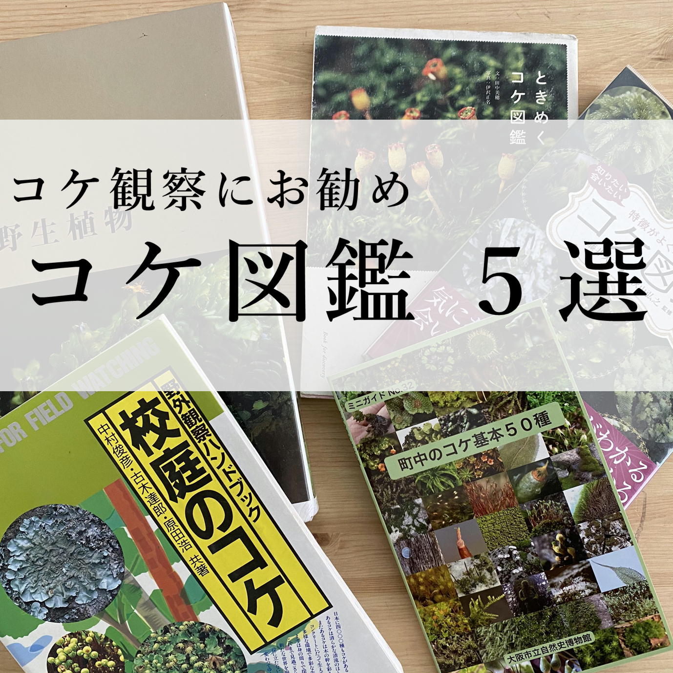 コケ観察におすすめコケ図鑑５選 | 苔テラリウム専門サイト｜道草