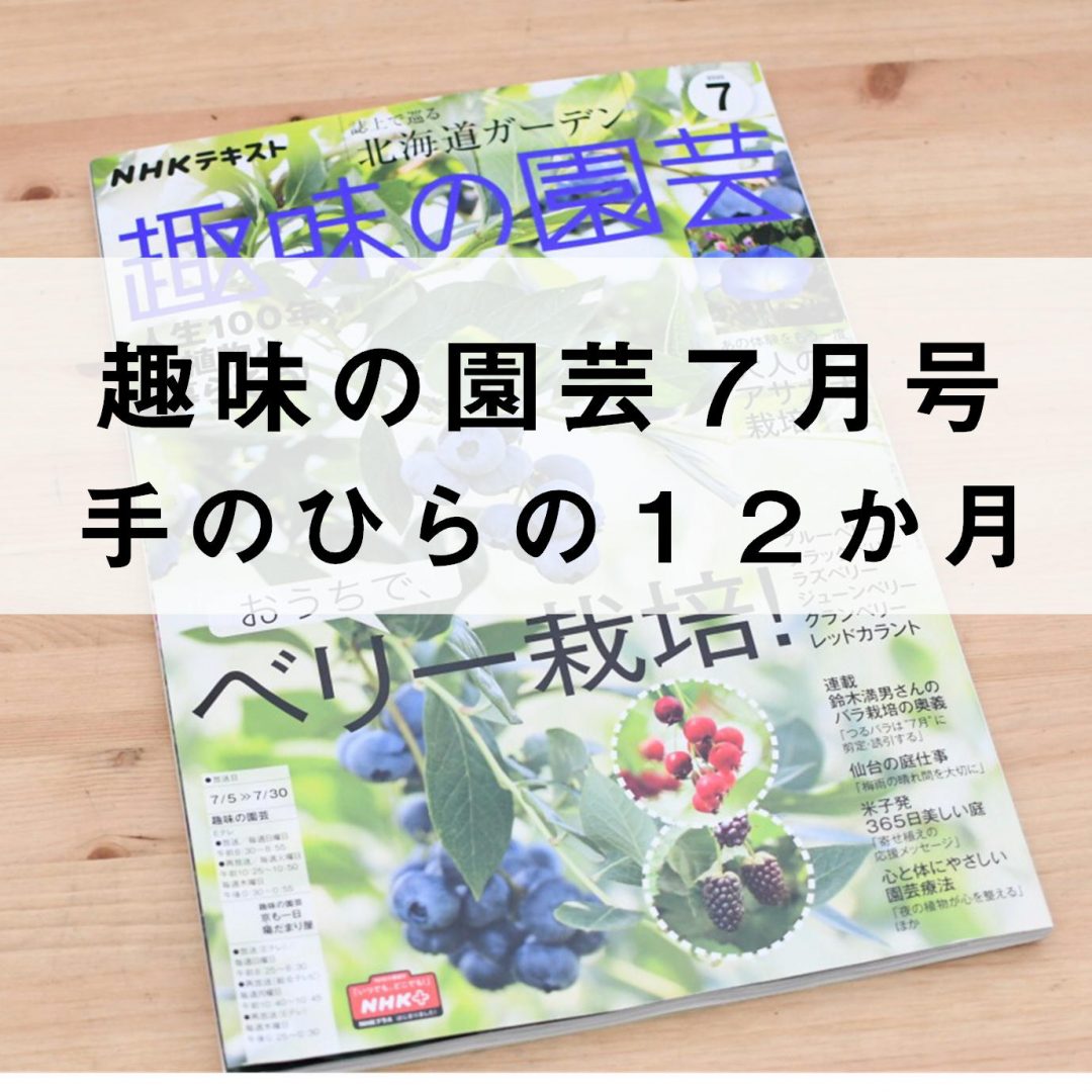 趣味の園芸（2020年7月号）手のひらの12か月 | 苔テラリウム専門サイト