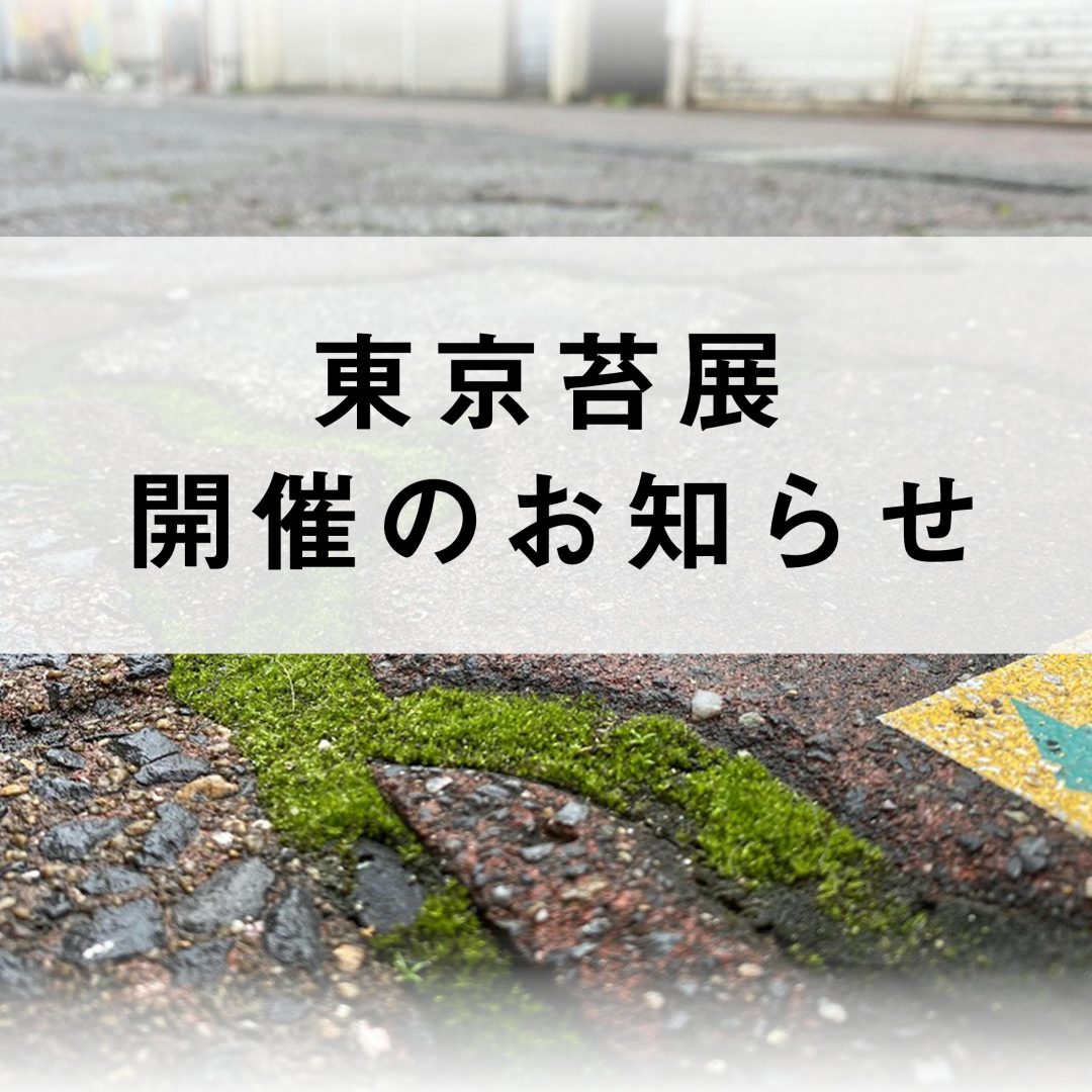 企画展 東京苔展 あなたの傍にそっとコケ 渋谷区ふれあい植物センター 苔テラリウム専門サイト 道草michikusa 苔テラリウム 小さな コケの森 コケ商品の企画販売 ワークショップ