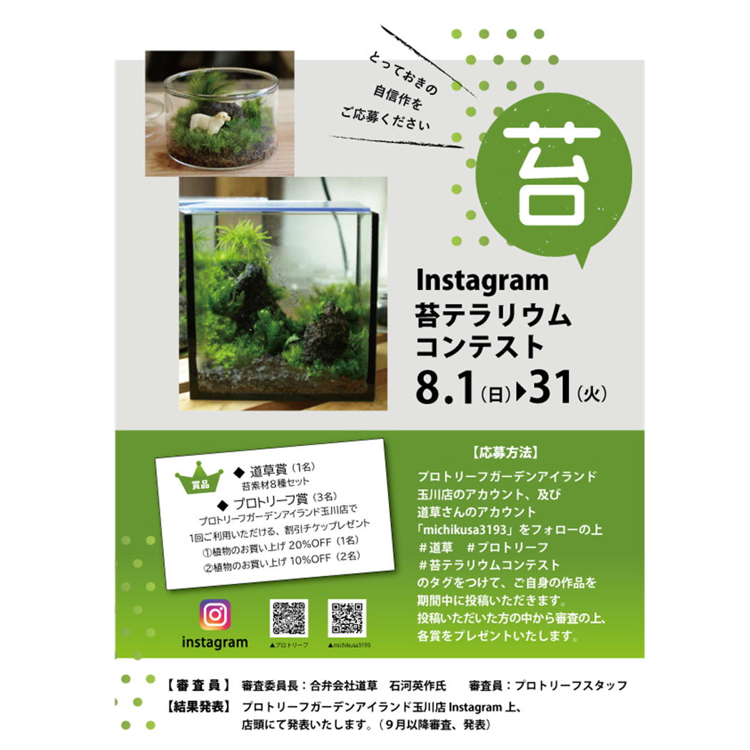 Instagram苔テラリウムコンテスト プロトリーフ 苔テラリウム専門サイト 道草michikusa 苔テラリウム 小さなコケの森 コケ商品の企画販売 ワークショップ