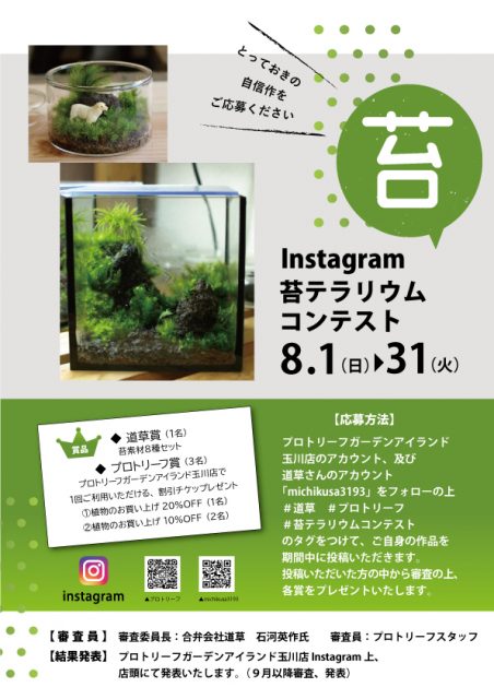 Instagram苔テラリウムコンテスト プロトリーフ 苔テラリウム専門サイト 道草michikusa 苔テラリウム 小さなコケの森 コケ商品の企画販売 ワークショップ