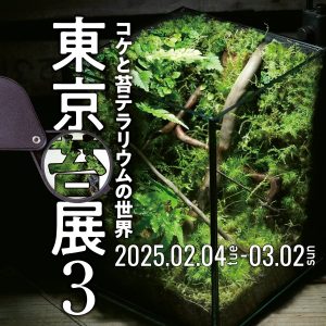 東京苔展３メインビジュアル